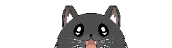 VidMeow